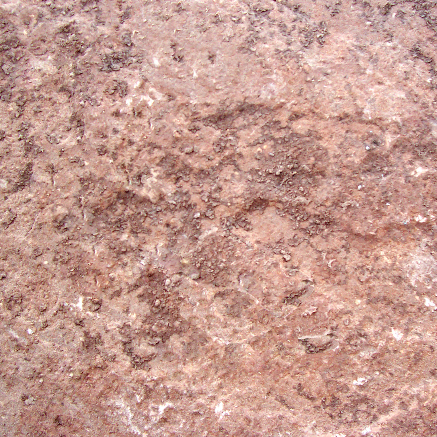 沙地贴图下载_沙地材质贴图免费下载_id:22229_牛模网