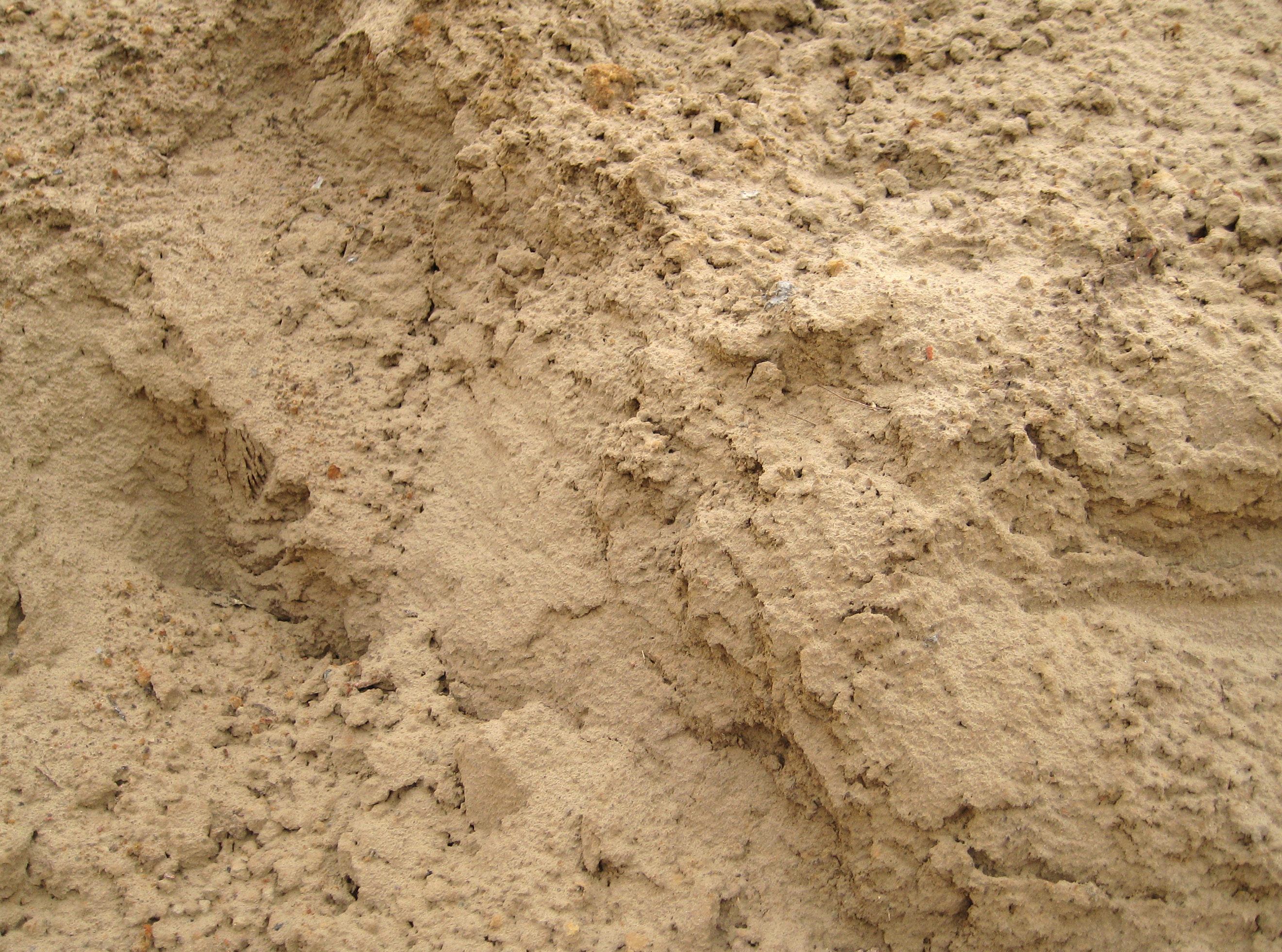 沙地3d贴图下载