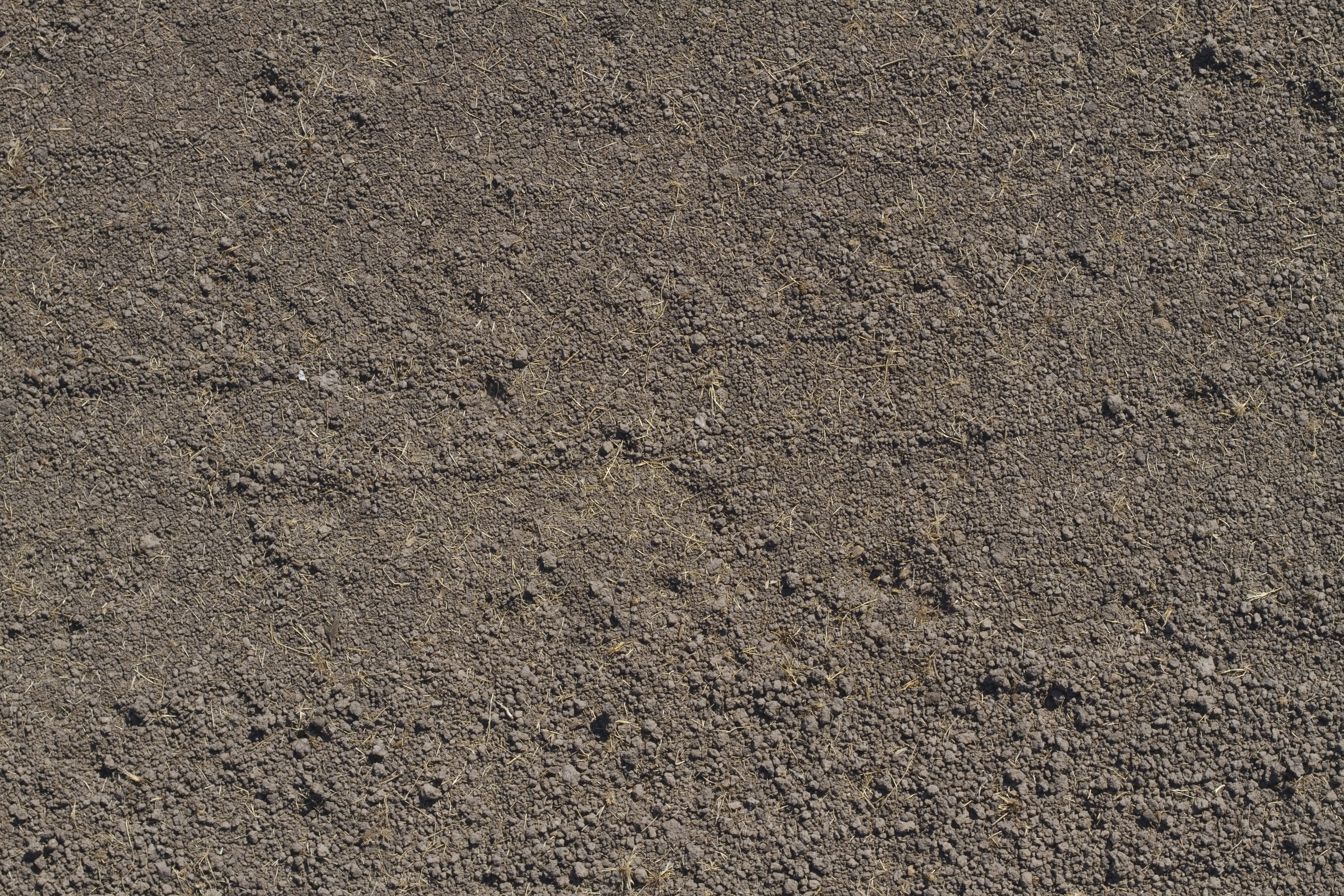 沙地3d贴图下载