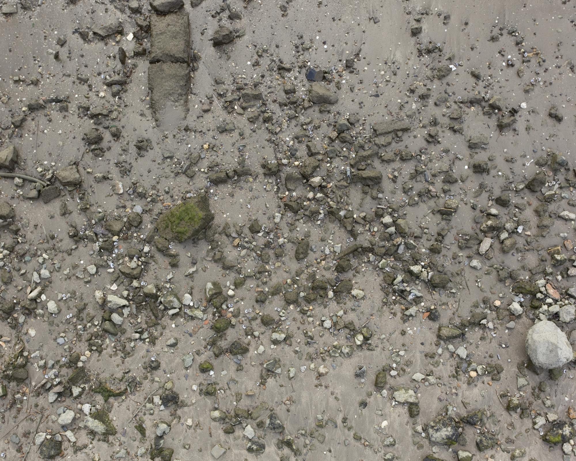 沙地带鹅卵石