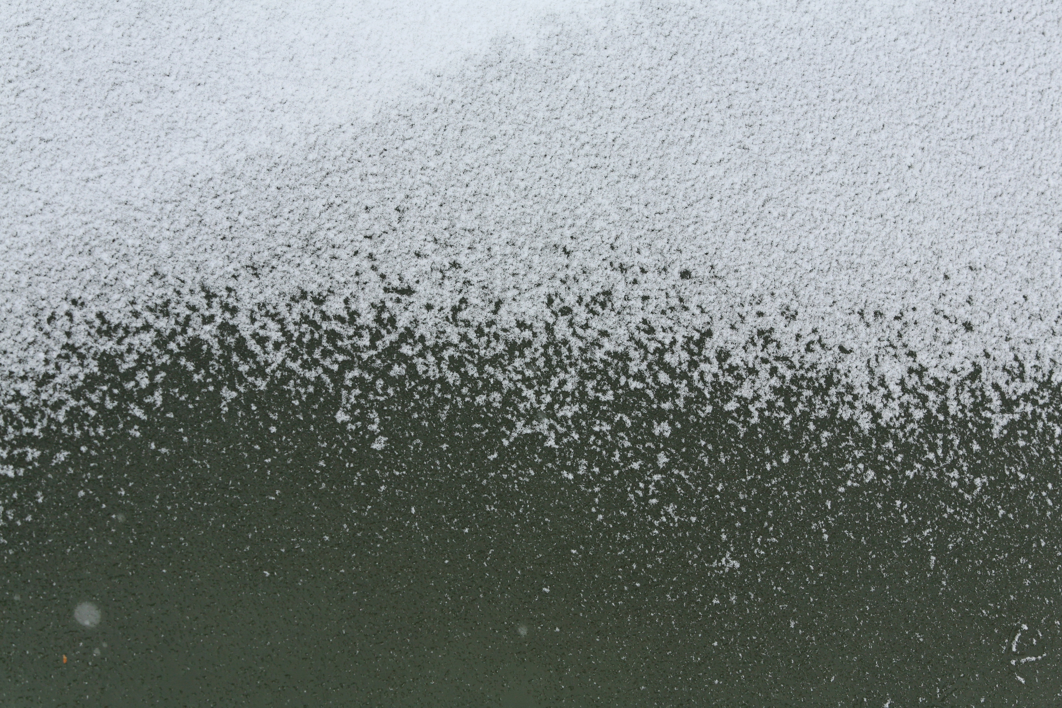 雪地