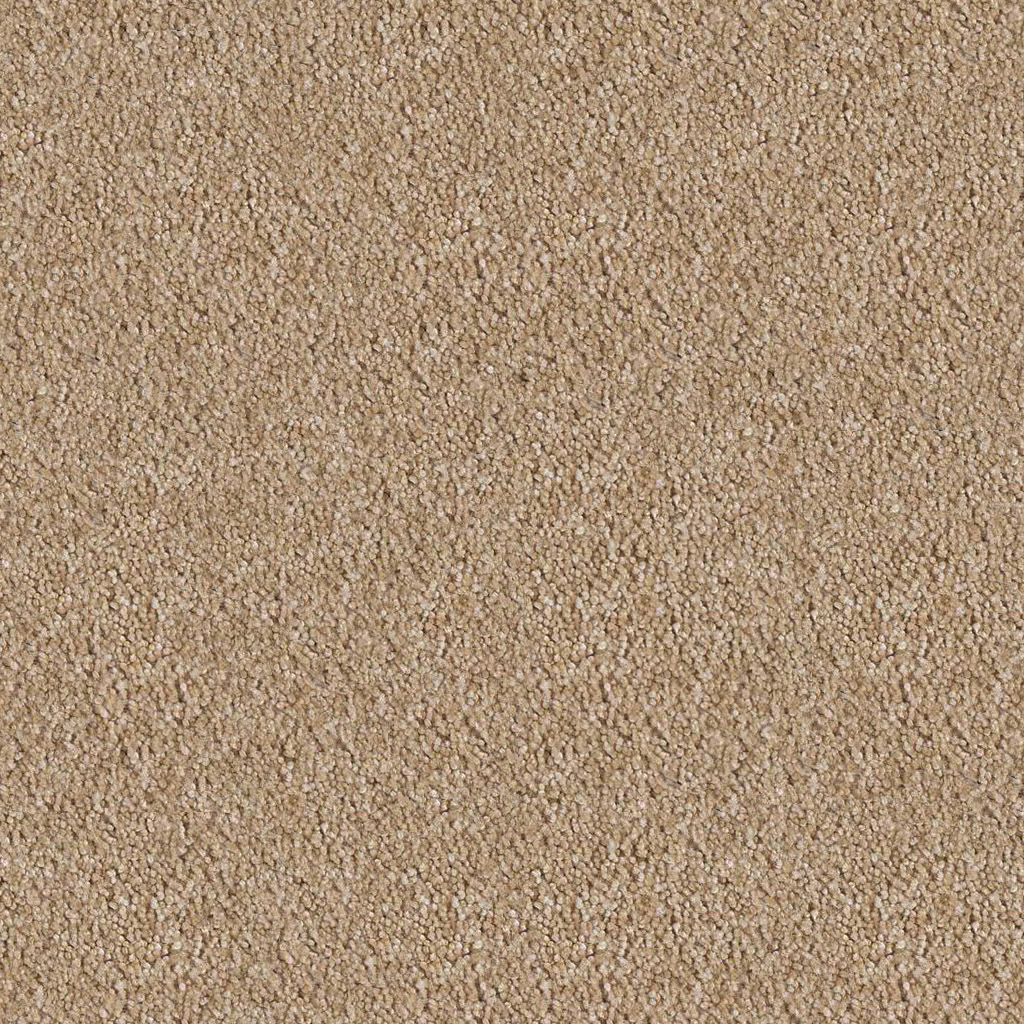 纯色地毯贴图下载_纯色地毯材质贴图免费下载_id:36184_牛模网