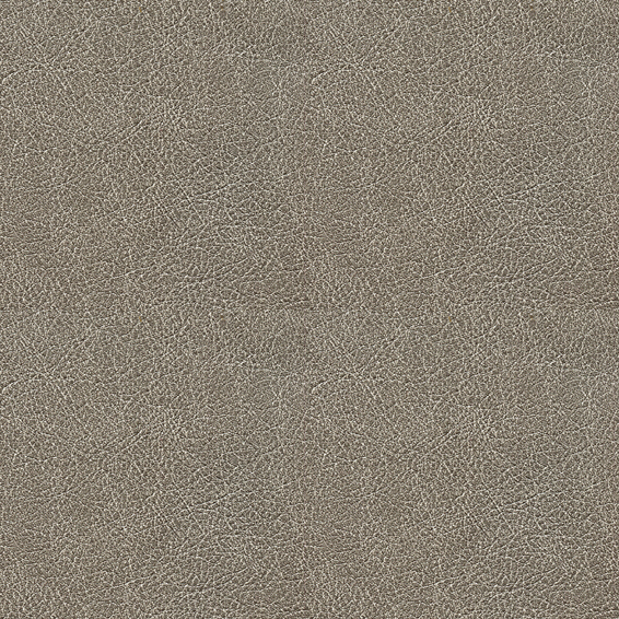 皮纹贴图下载_皮纹材质贴图免费下载_id:35149_牛模网