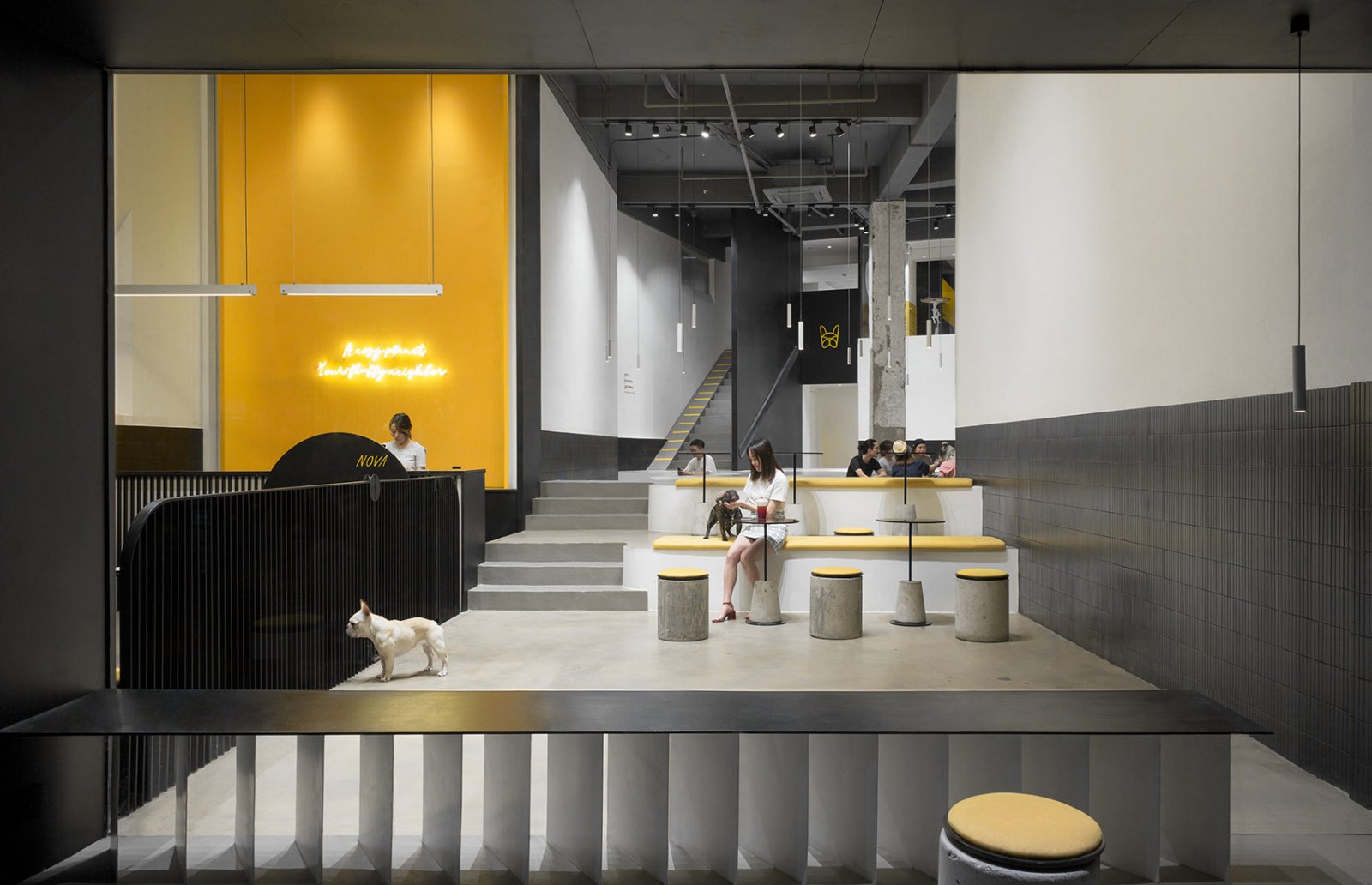 宠物咖啡店,一个宠物和主人同时社交的场所