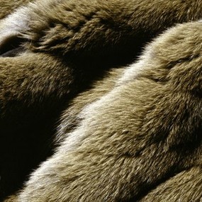 动物<b>皮</b>毛地毯