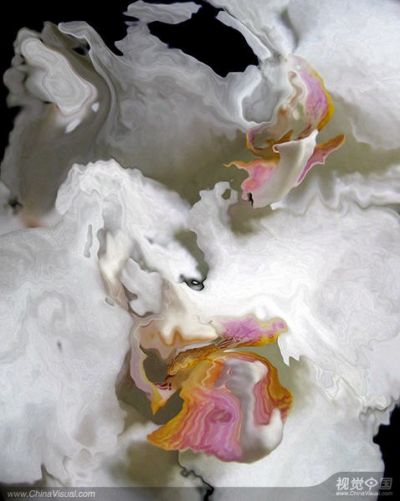 精裱画