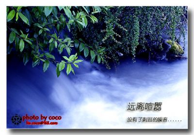 精裱画