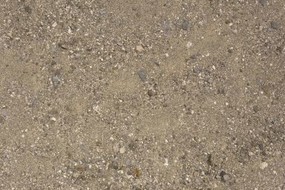 沙地带鹅卵石