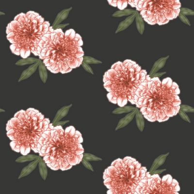 墙纸花鸟