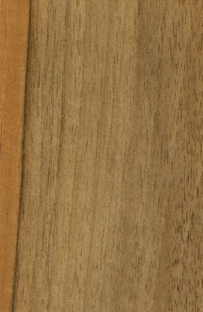 木材,木纹,高清木纹<b>贴</b><b>图</b>