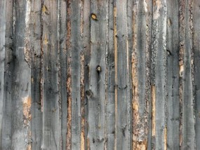 木材,木纹,炭烧木