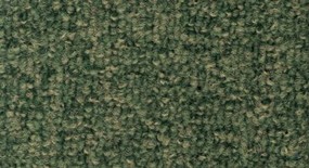 地毯,地毯