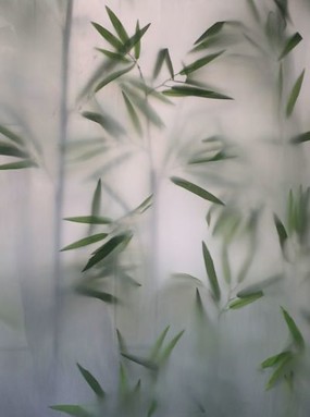 竹子造型贴图 磨砂玻璃竹子造型贴图