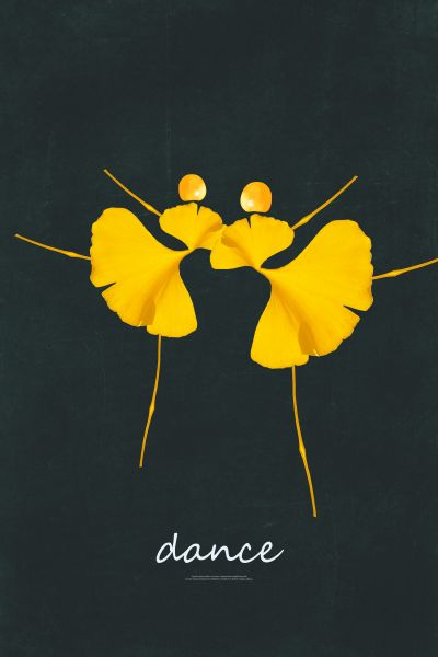 <b>装</b><b>饰</b><b>画</b>花芯挂<b>画</b>
