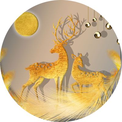 装饰画花芯挂画