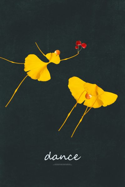 <b>装</b><b>饰</b><b>画</b>花芯挂<b>画</b>