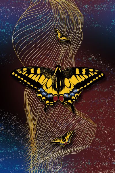 装饰画花芯挂画