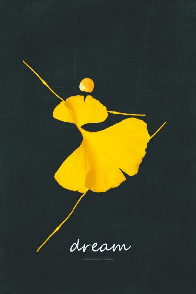 <b>装</b><b>饰</b><b>画</b>花芯挂<b>画</b>