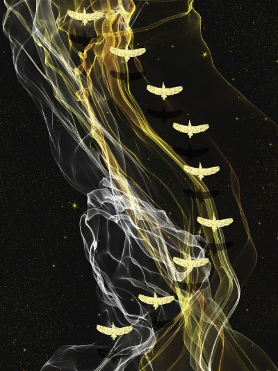 装饰画花芯挂画