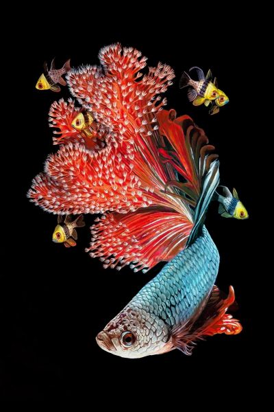 <b>装</b><b>饰</b><b>画</b>花芯挂<b>画</b>