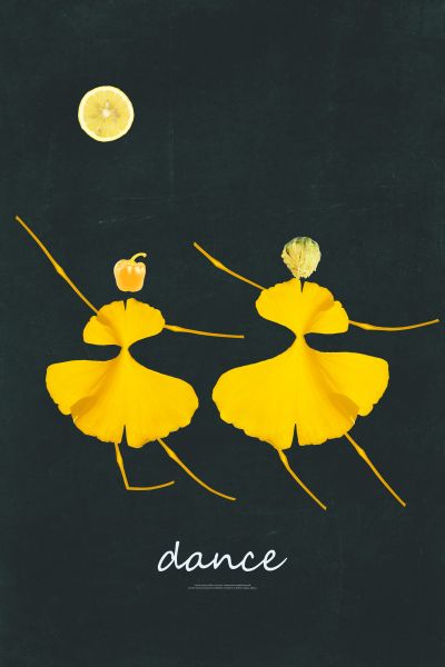 <b>装</b><b>饰</b><b>画</b>花芯挂<b>画</b>