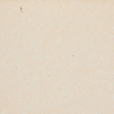 童话 Magicdreams3D贴图