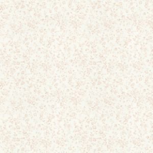 精品高清壁纸墙纸