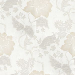 精品高清壁纸墙纸