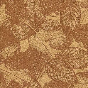 精品高清壁纸墙纸