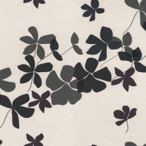 精品高清壁纸墙纸