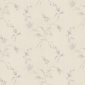 精品高清壁纸墙纸