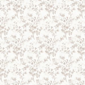 精品高清壁纸墙纸