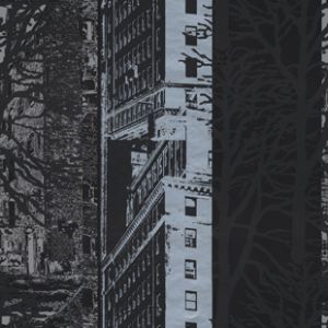 精品高清壁纸墙纸