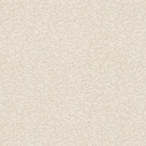 精品高清壁纸墙纸