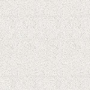 精品高清壁纸墙纸