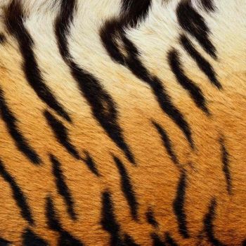 动物皮毛地毯