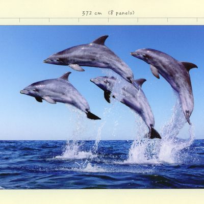 儿童趣味卡通风格装饰画