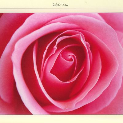 儿童趣味卡通风格装饰画