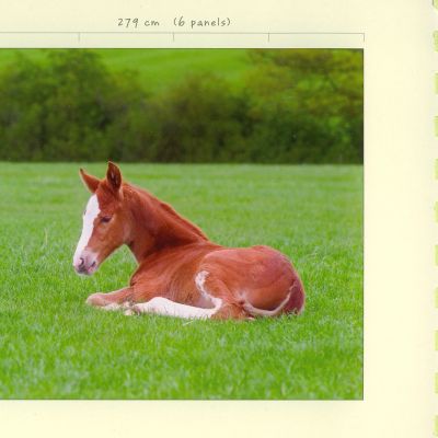 儿童趣味卡通风格装饰画