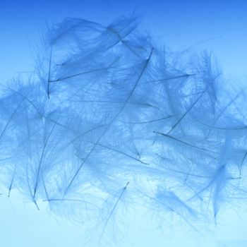 精裱画