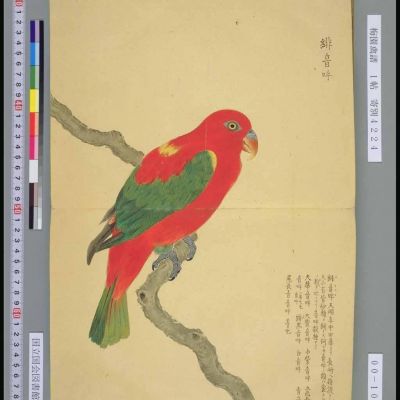 花鸟配色挂画