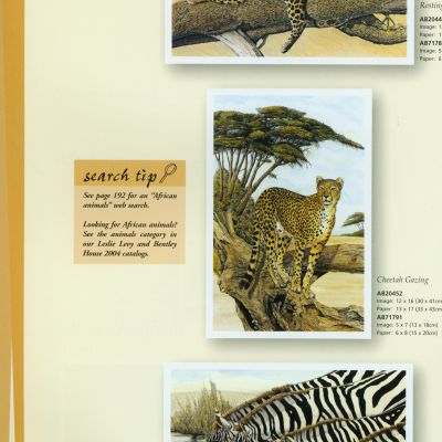 动画挂画装饰画