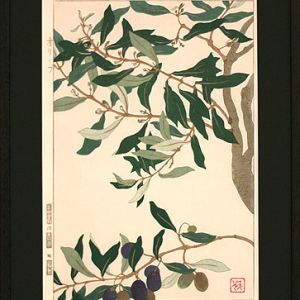 花鸟配色挂画