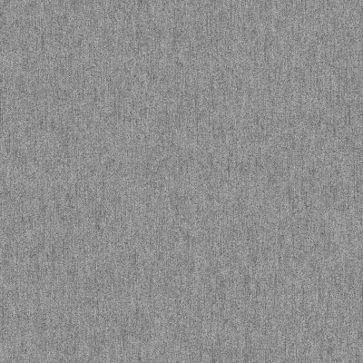 地毯布料置换凹凸黑白