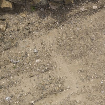 沙地带鹅卵石