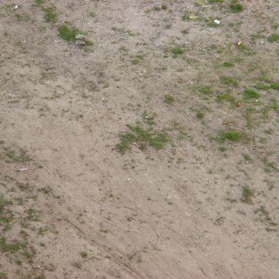 沙地