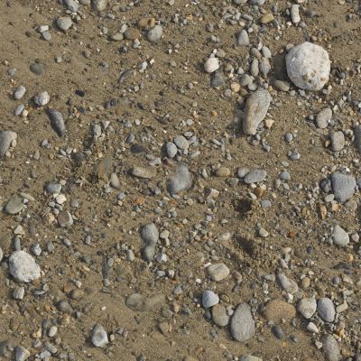 沙地带鹅卵石