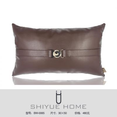 抱枕-高清贴图咖色