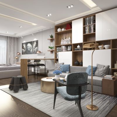 现代单身公寓 沙发 书柜