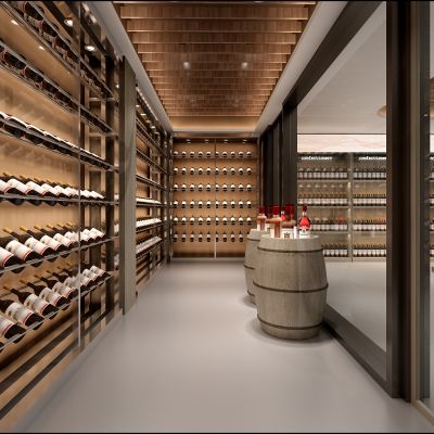 现代风格酒窖